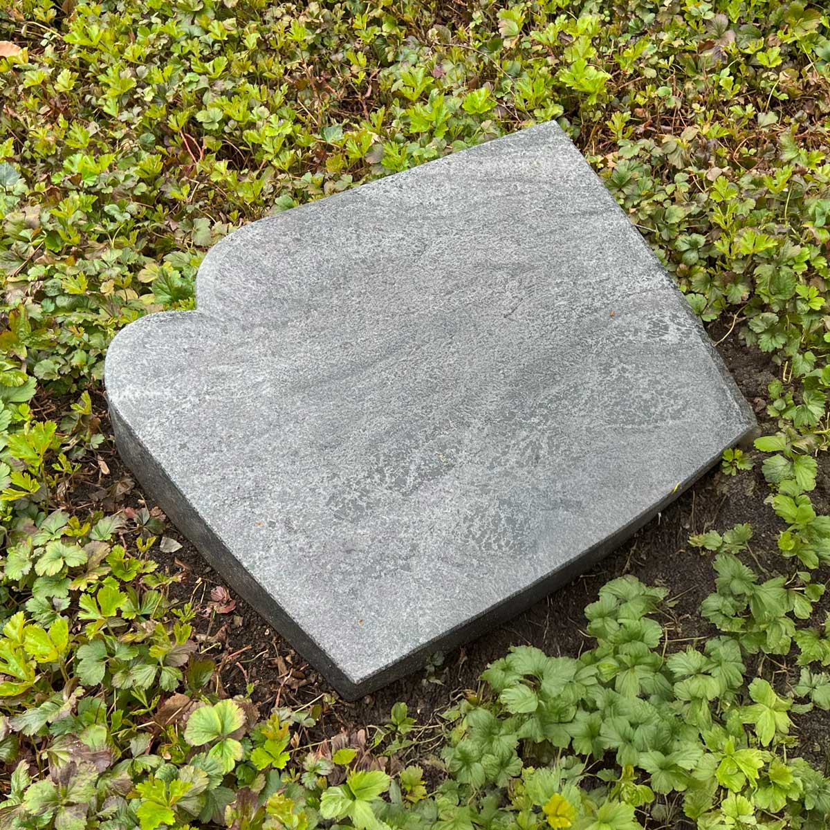 LS023 Hauptbild