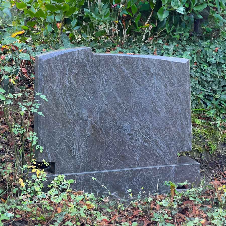 BS015