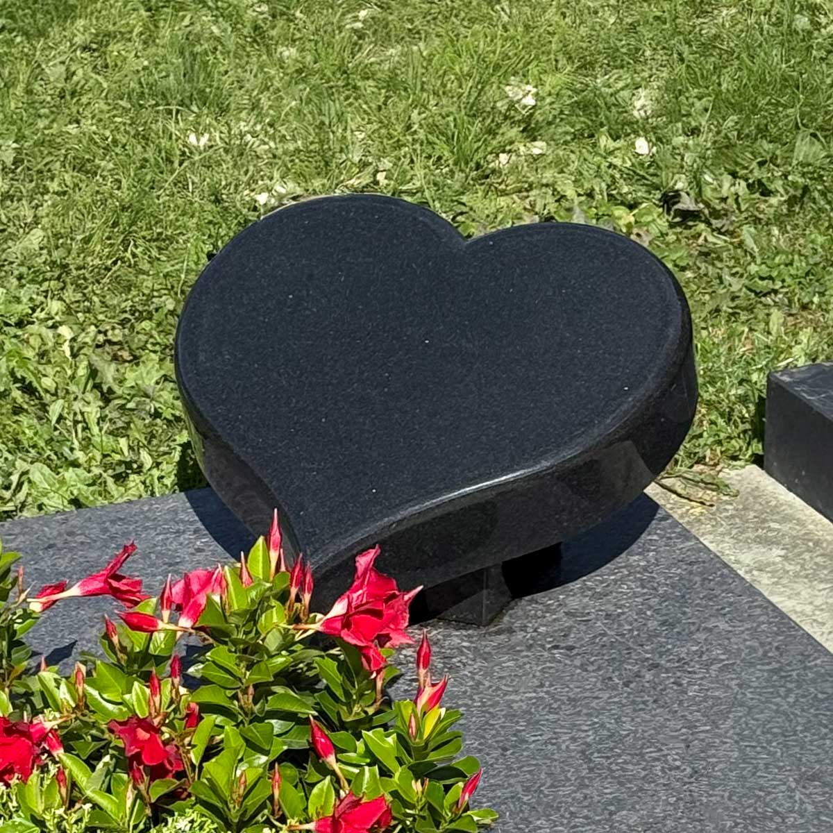 LS015