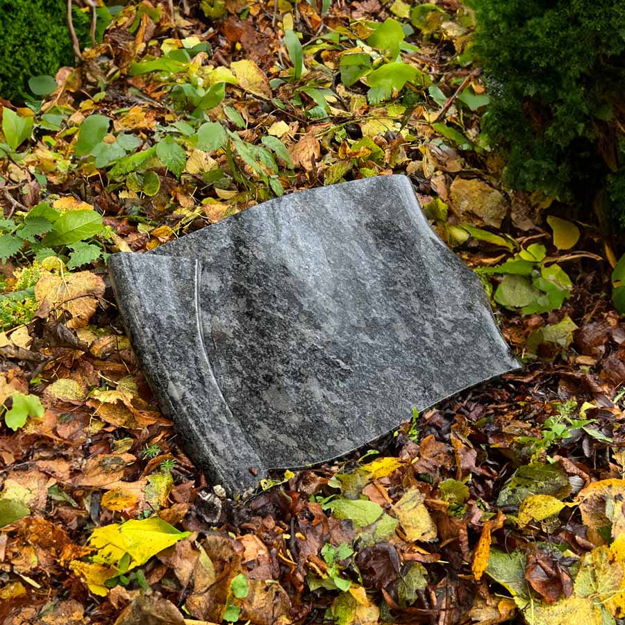 LS011
