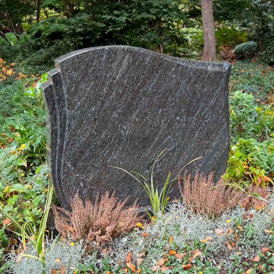 BS021